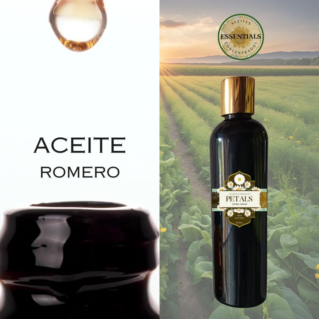 romero aceite